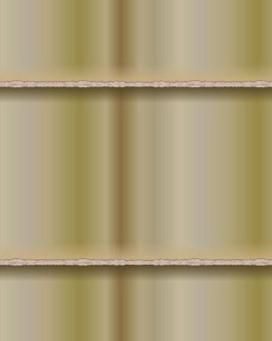 Bamboo 27