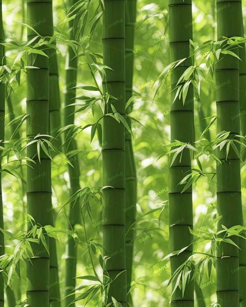 Bamboo Forest