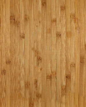 Bamboo Wood 22