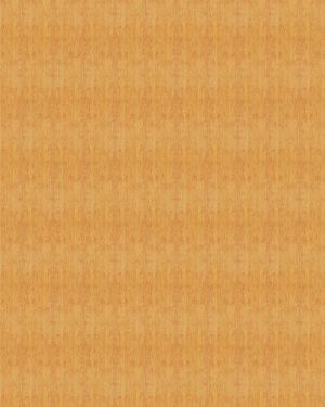 Bamboo Wood 24