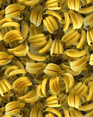 Bananas 22