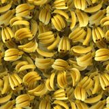 Bananas-22.jpg