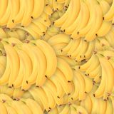 Bananas-23-1.jpg