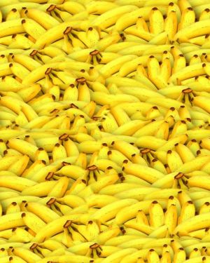 Bananas 23