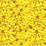 Bananas-23.jpg