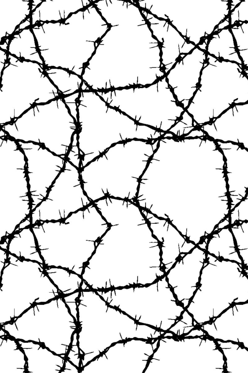 Barbed Wire 22
