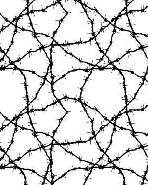 Barbed Wire 22