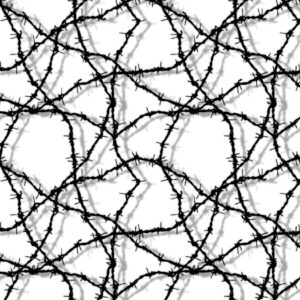 Barbed Wire 23