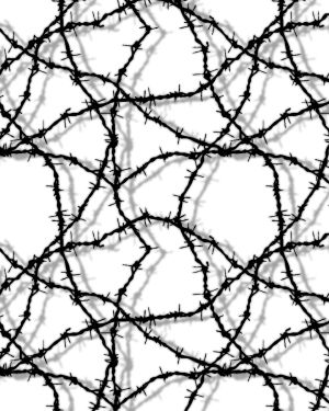 Barbed Wire 23