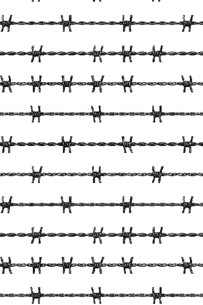 Barbed Wire 24