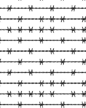 Barbed Wire 24