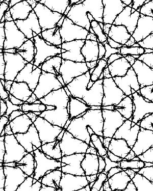 Barbed Wire Radial