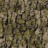 Bark-22-Camo.jpg