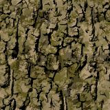 Bark-23-Camo.jpg