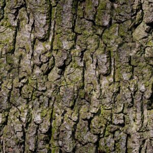 Bark 24 Camouflage