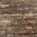 Barnwood-52.jpg