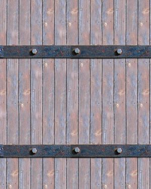 Barrel Straps 22