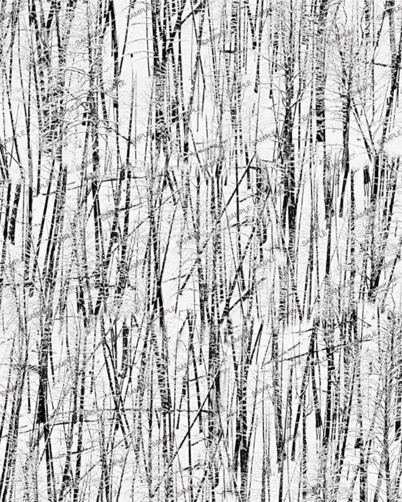 Barren Winter Camouflage