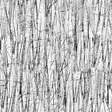Barren-Winter-Camo.jpg