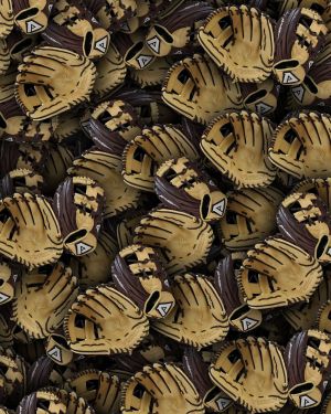 Baseball Gloves 22