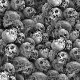 Basket-of-Skulls-22.jpg