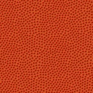 Basketball Leather 22