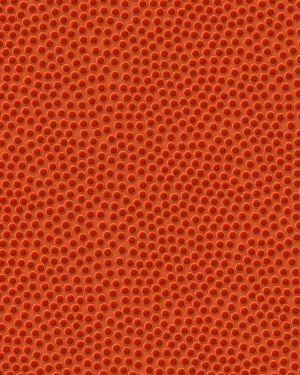 Basketball Leather 22
