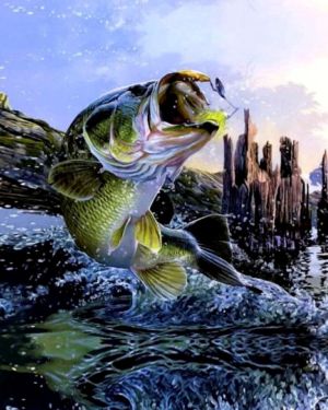 Bass Jumping 24