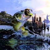 Bass-Jumping-24.jpg