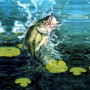 Bass Online