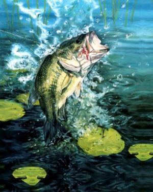 Bass Online