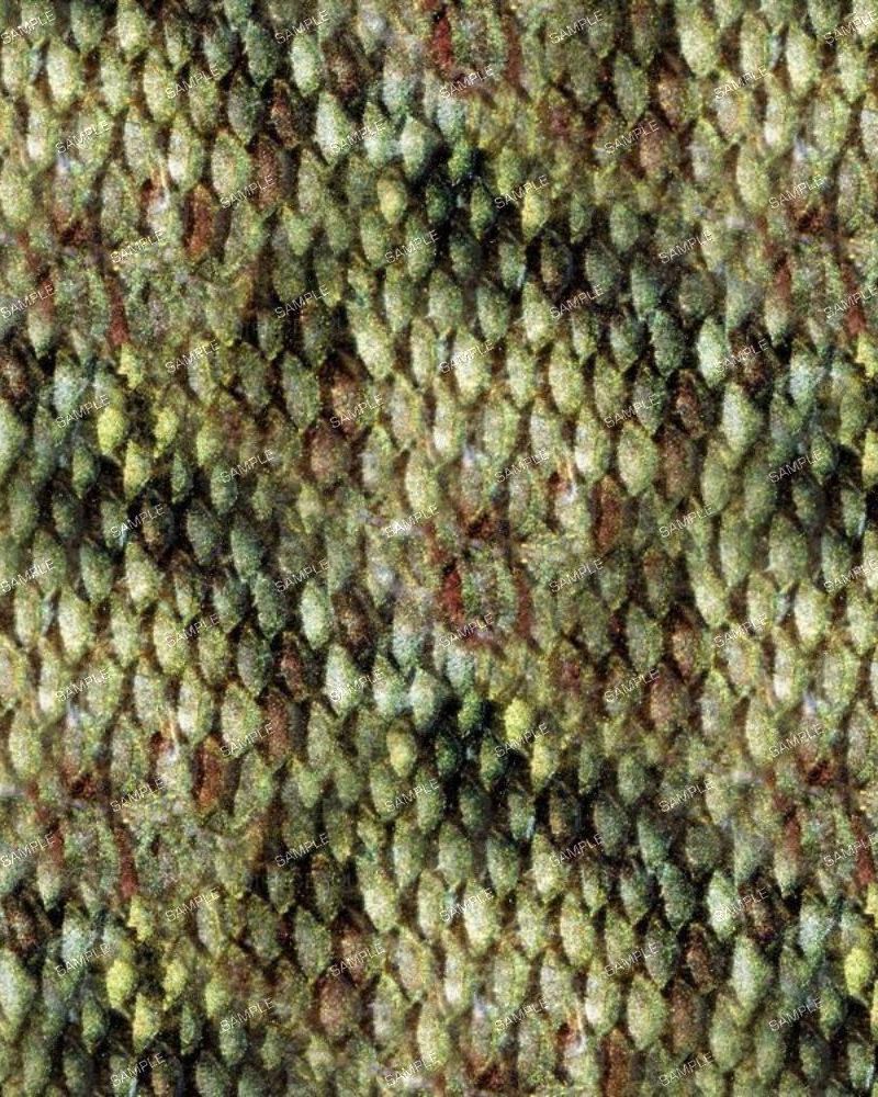 Bass Scales Camouflage