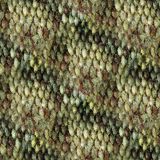 Bass-Scales-Camo-1.jpg
