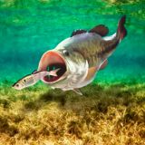 Bass-The-Moment-11x16-1.jpg