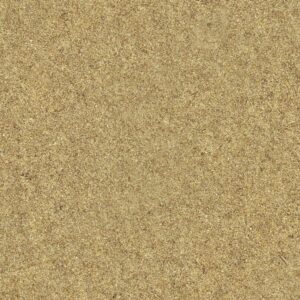 Beach Sand