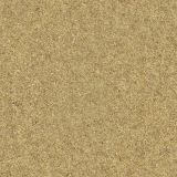Beach-Sand.jpg