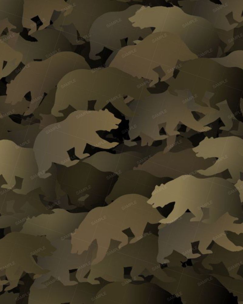 Bear ATACS Camouflage 25