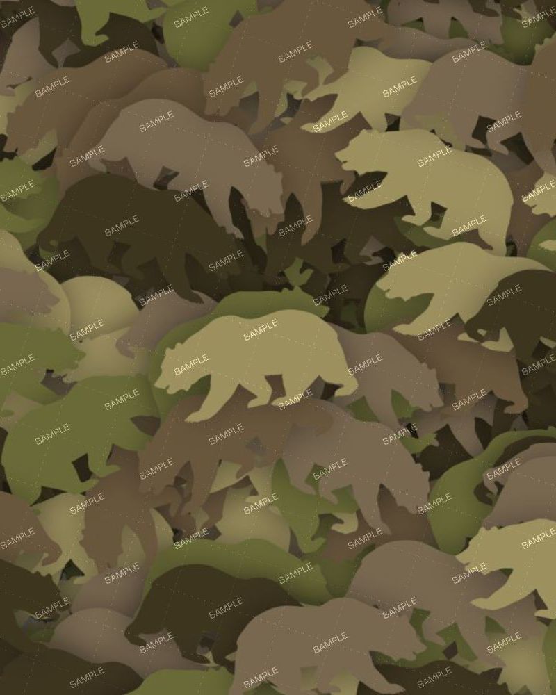 Bear Camouflage 21