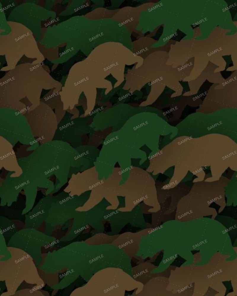 Bear Camouflage
