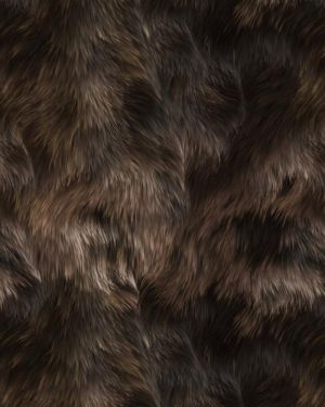 Bear Fur 22
