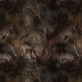Bear-Fur-22.jpg