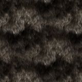 Bear-Fur-23.jpg