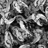 Bear-Skulls-22.jpg