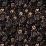 Bears-22.jpg