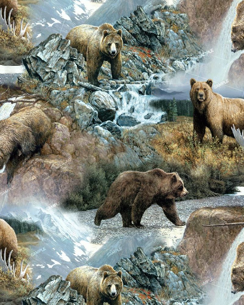 Bears Fishing in a Mountain Stream