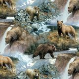 Bears-Fishing-in-a-Mountain-Stream-1.jpg