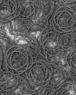 Bed of Thorns 22