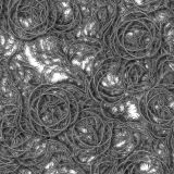 Bed-of-Thorns-23.jpg