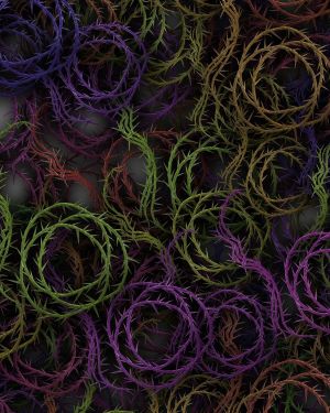 Bed of Thorns 24