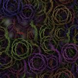 Bed-of-Thorns-24.jpg